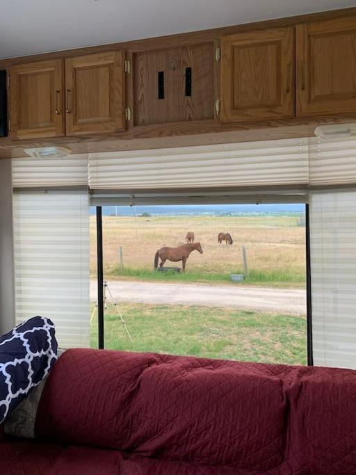 דירות Saint Ignatius Mission Mountain Camper מראה חיצוני תמונה